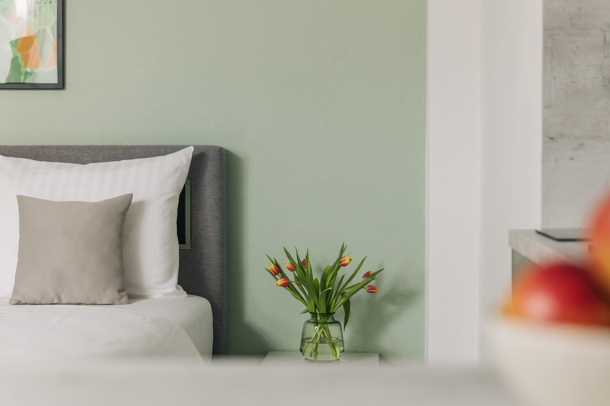 Homaris serviced apartment — official property photography