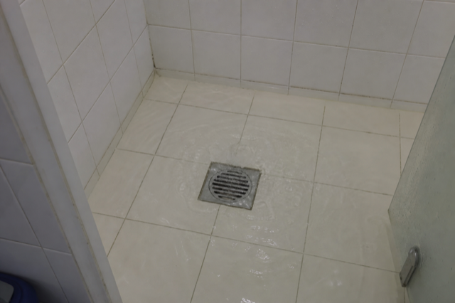 Shared bathroom shower drain with standing water pooling around the grate